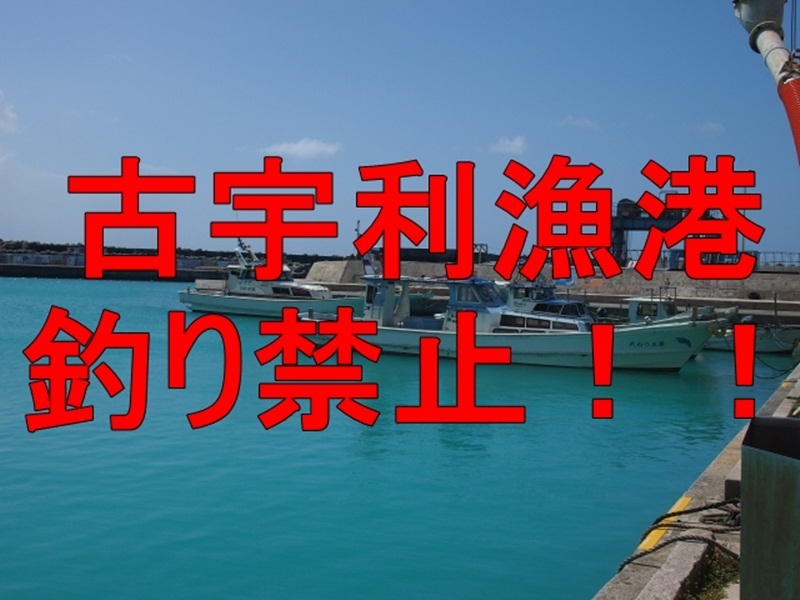 沖縄県 古宇利 こうり 漁港 釣り禁止 おきなわ 地元民の暮らし方